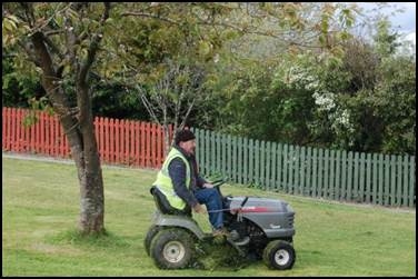 Grass Cutting